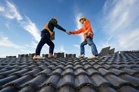 Best Roof Insulation Installation  in Buena Vista, CO